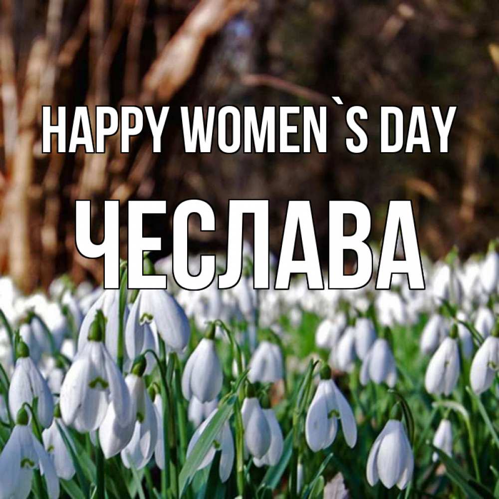 Greetings card с именем, Чеслава happy women`s day с подснежниками 1 Greetings with text for free download 